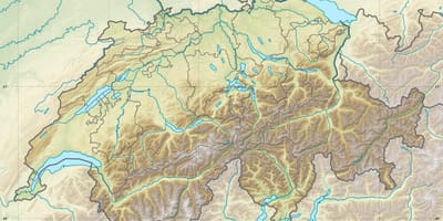 Зураг швейцарь халамжийн